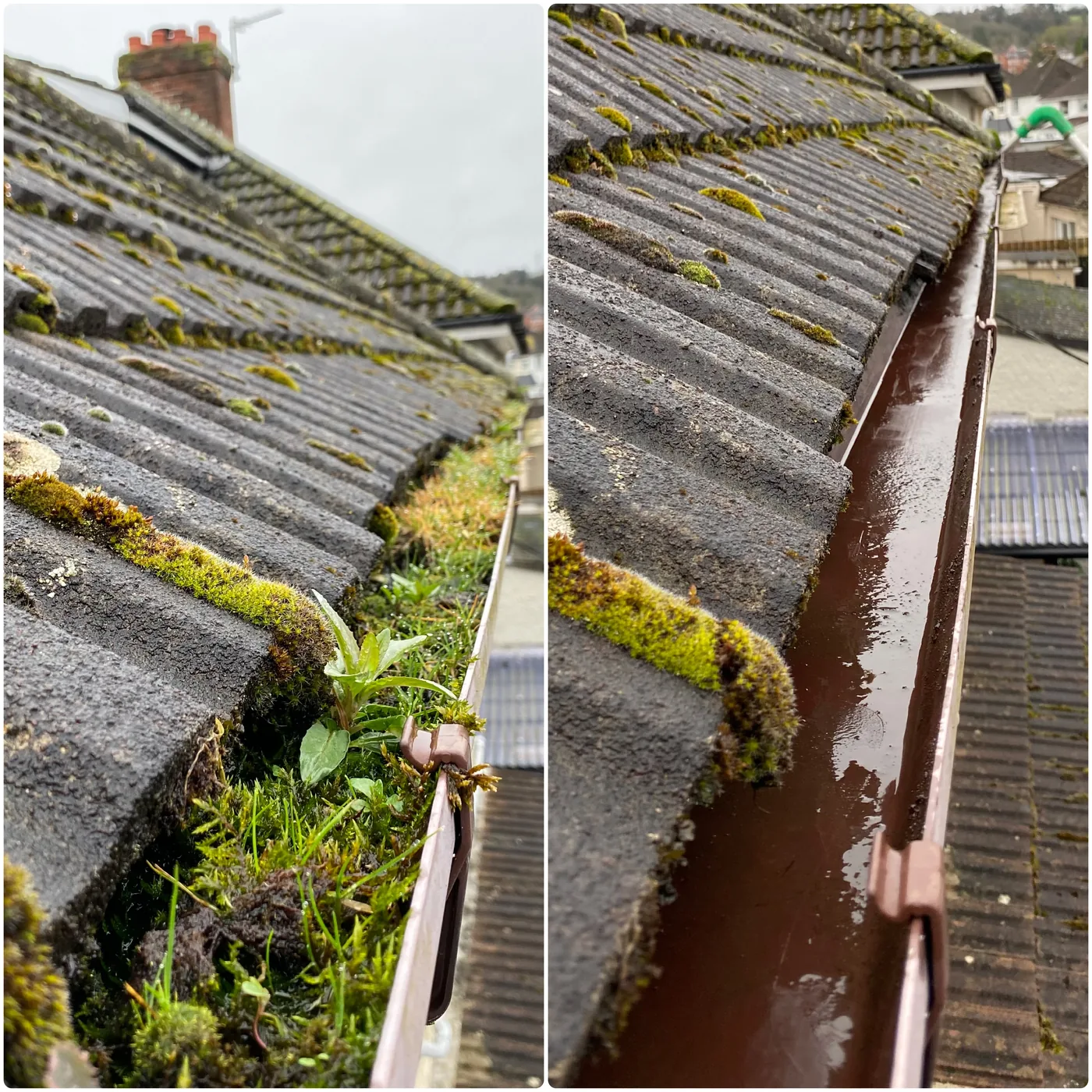 Roof-edge debris and gutter build-up