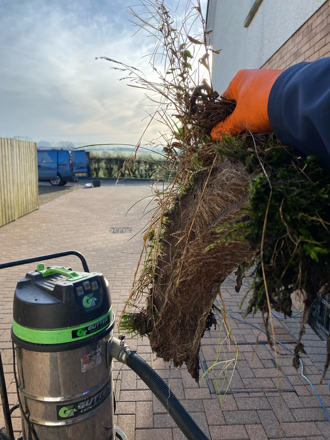 Roots and compacted debris being removed from a gutter