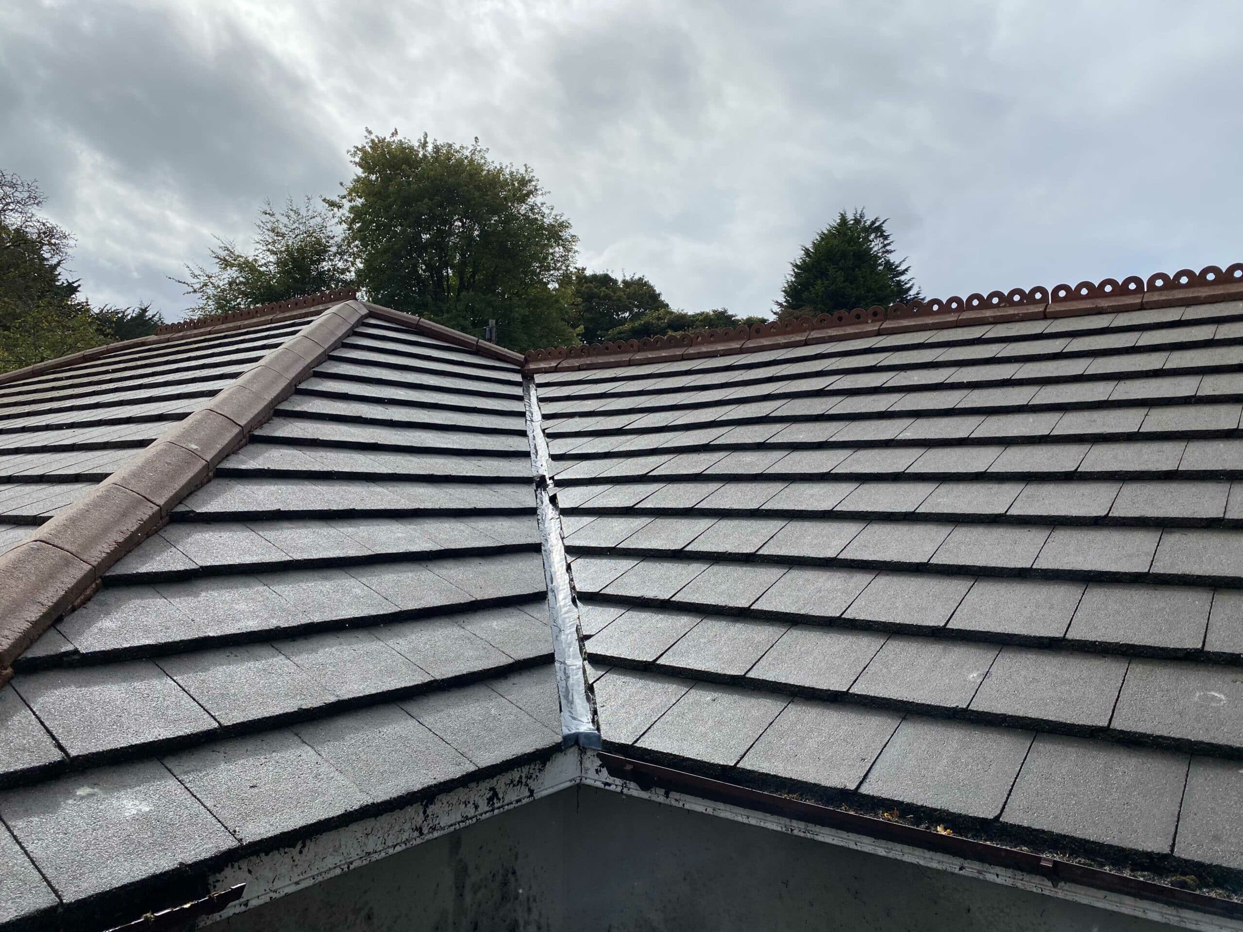 Clean roof after professional cleaning