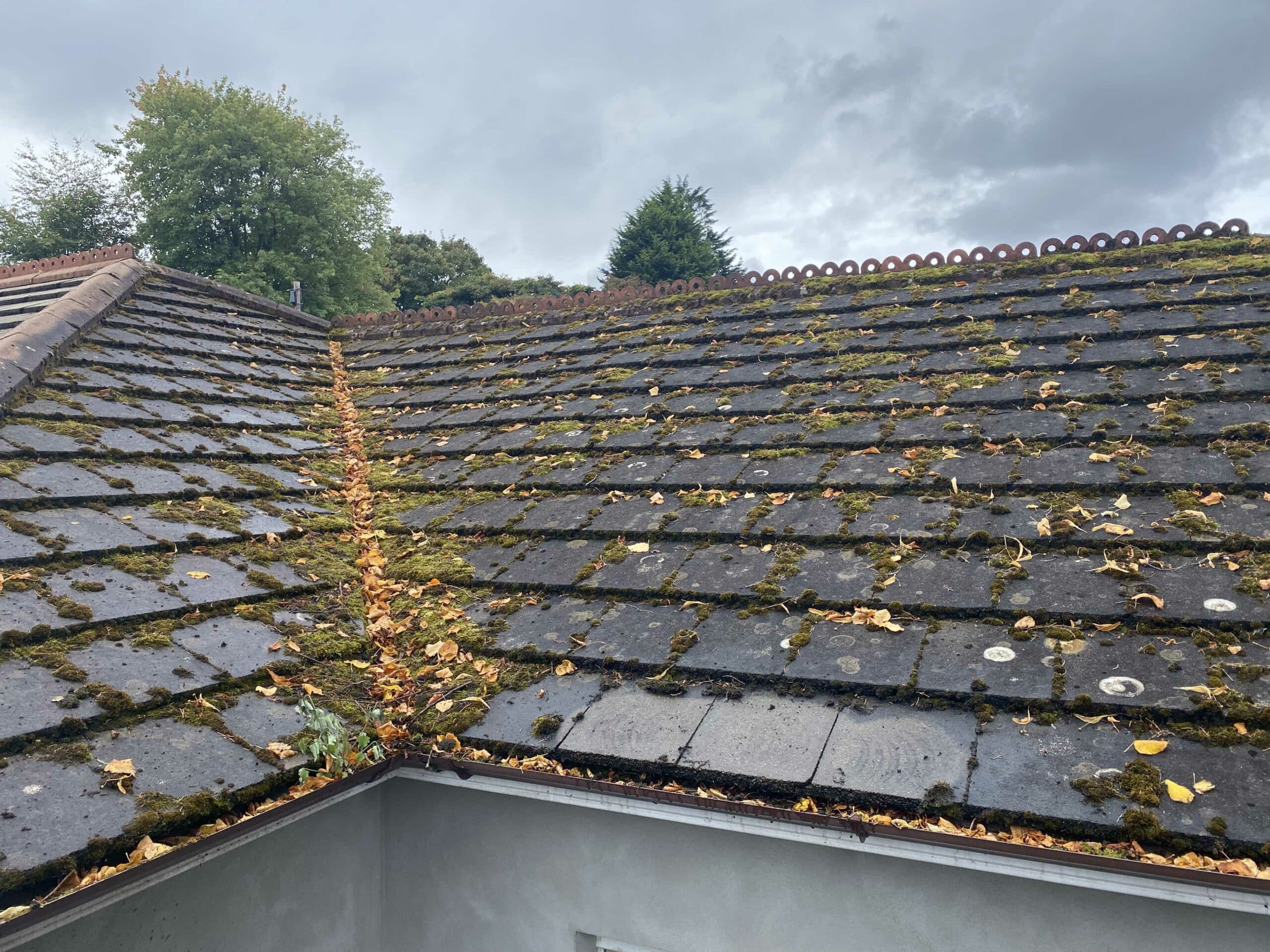 Moss-covered roof before cleaning