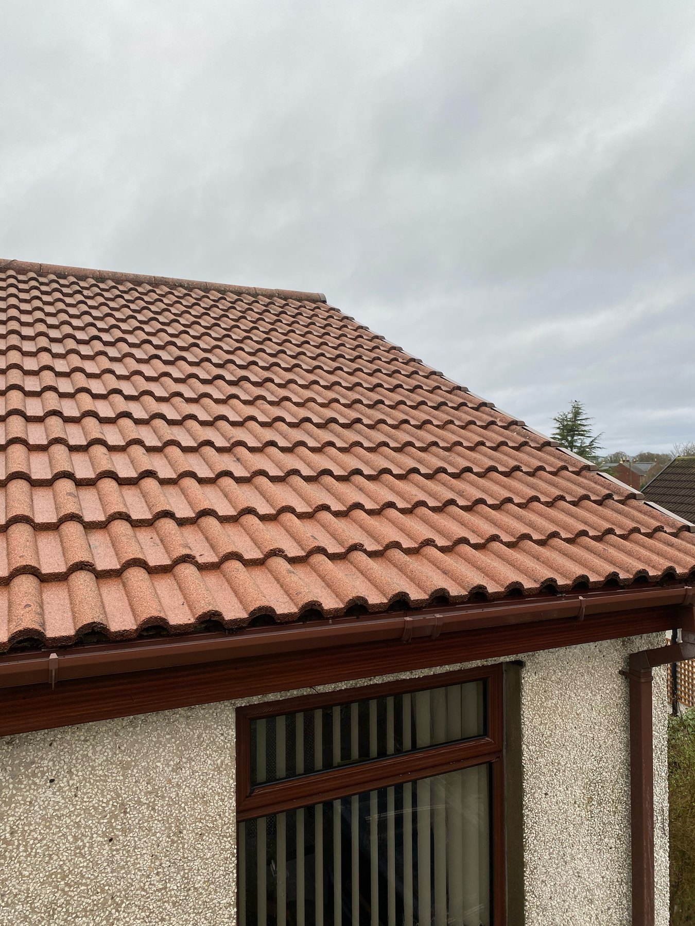 Tiled roof after cleaning