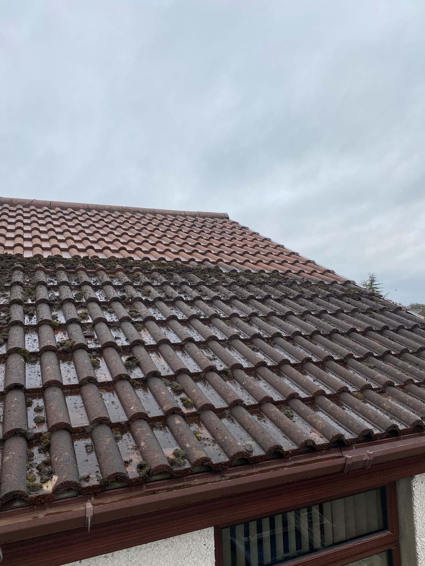 Tiled roof with moss and debris before cleaning